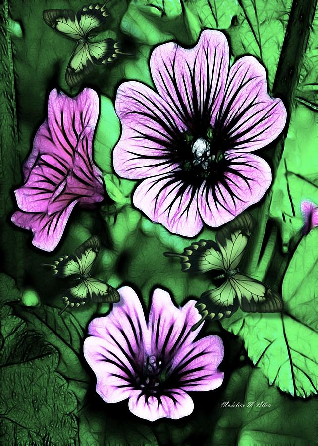 Malva Flowers Digital Art by Madeline  Allen - SmudgeArt