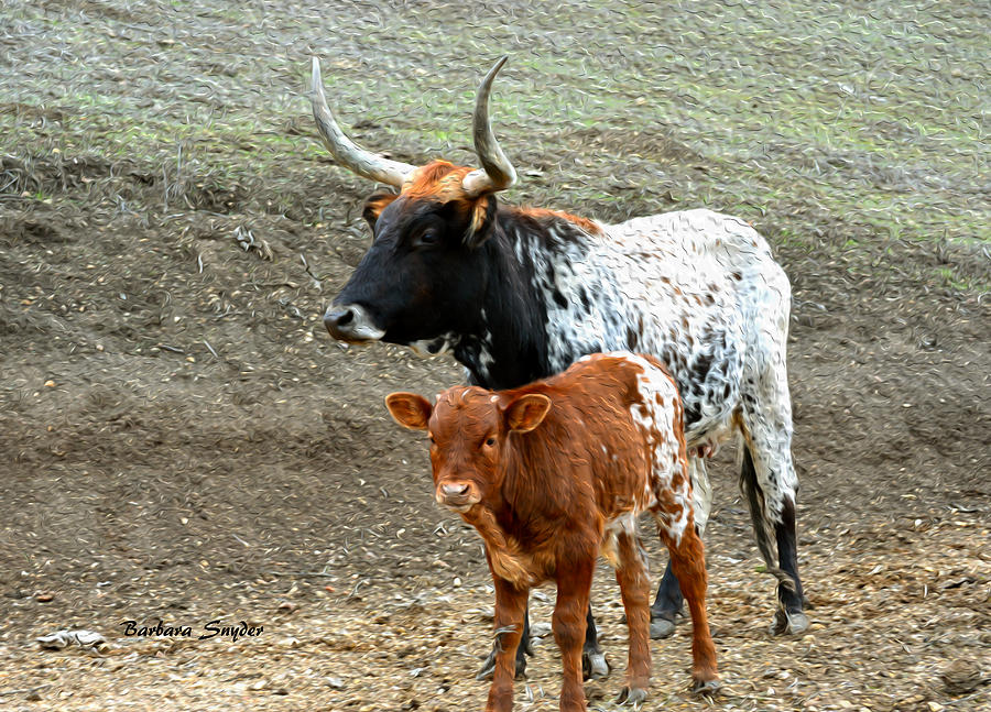 Cow Painting - Mama And Baby Longhorn Painting 2 by Barbara Snyder