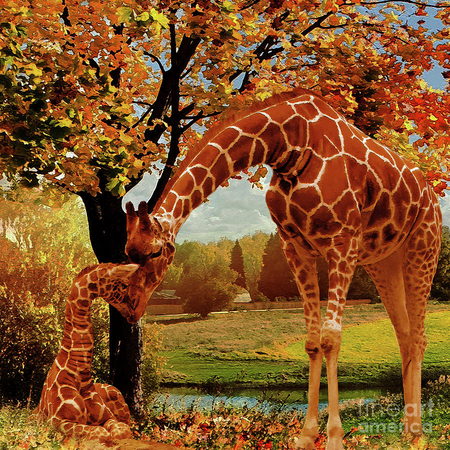 Mama Giraffe feeding  Painting by Gull G
