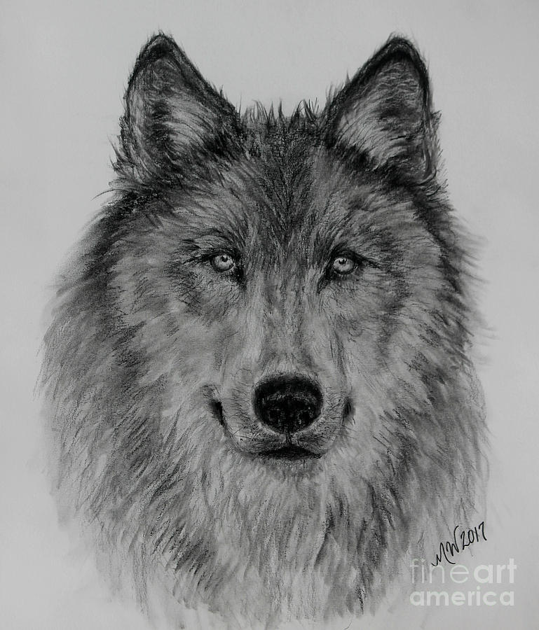 Mama Wolf by Michelle Wolff Mama Wolf by Michelle Wolff