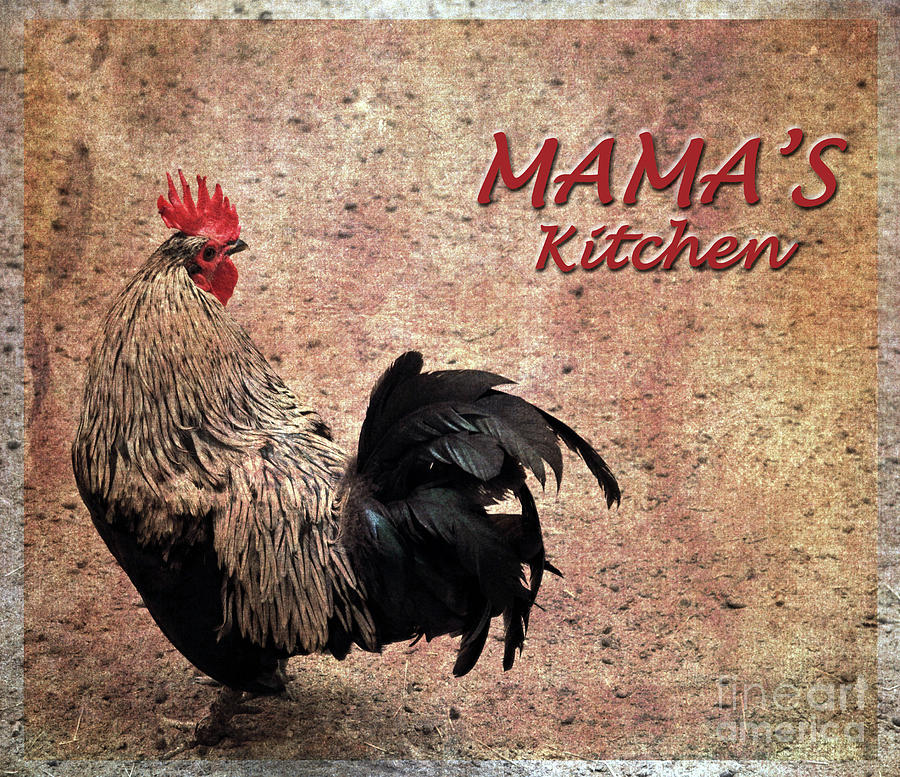 Mamas Kitchen Photograph by Lydia Holly