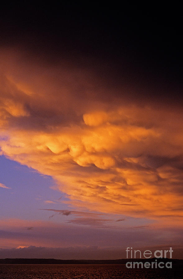 Mammato-Cumulus Clouds at Sunset over Puget Sound Photograph by Jim Corwin