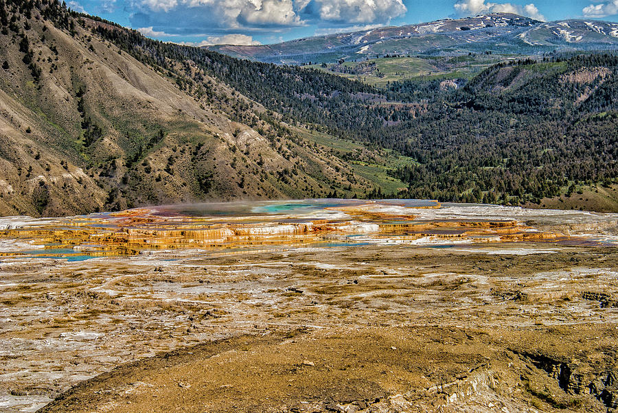 Mammoth Hot Spring Photograph by Donald Pash