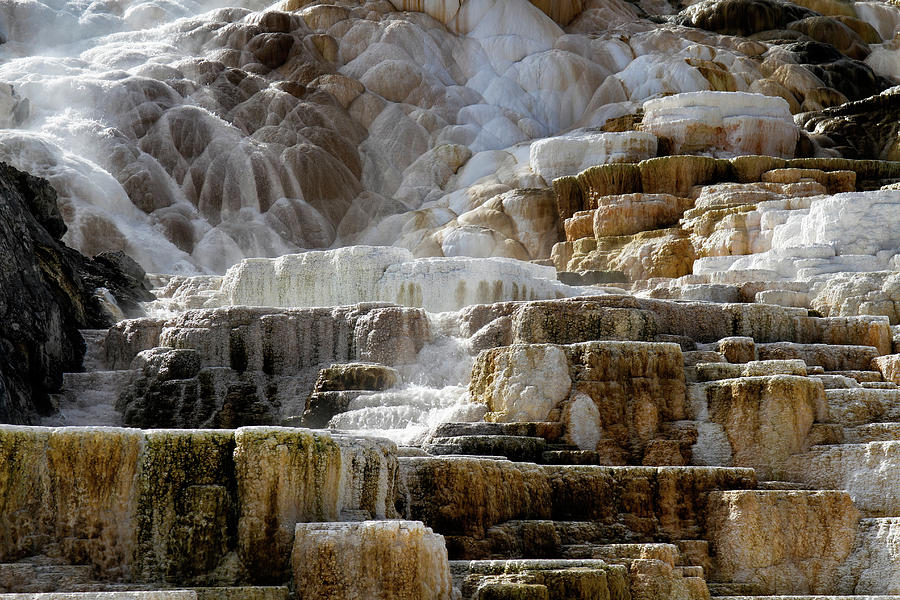 Mammoth Hot Springs abstract Photograph by Shirley Mitchell