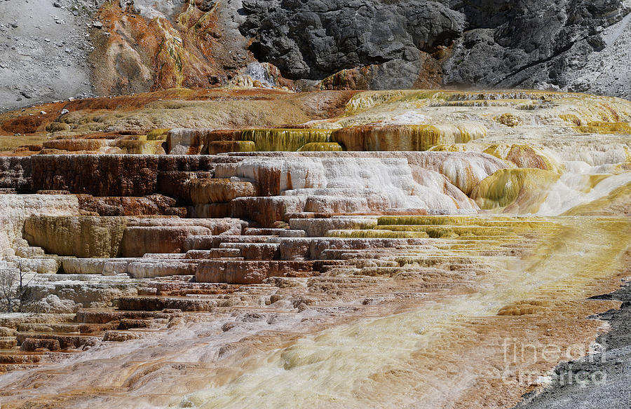 Mammoth Hot Springs Photograph by Annina Rupe - Fine Art America