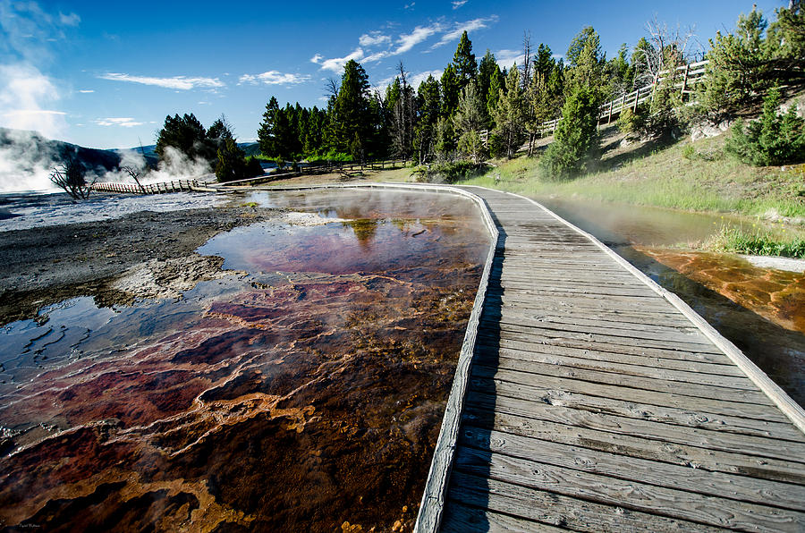 Mammoth Hot Springs Boardwalk Photograph by Crystal Wightman