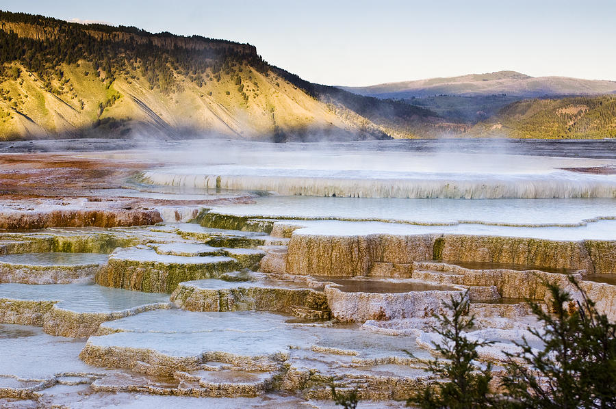 Mammoth Hot Springs Photograph by Chad Davis | Fine Art America