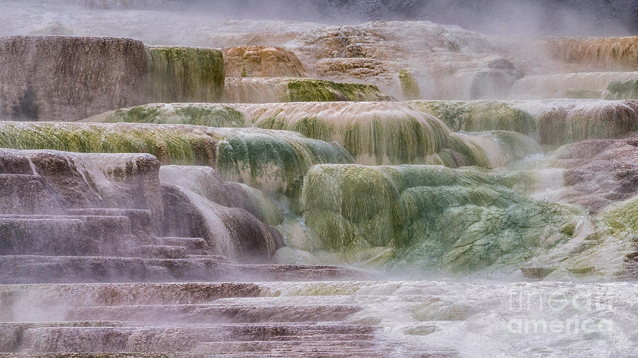 Mammoth Hot Springs Close  Up Photograph by Jerry Fornarotto