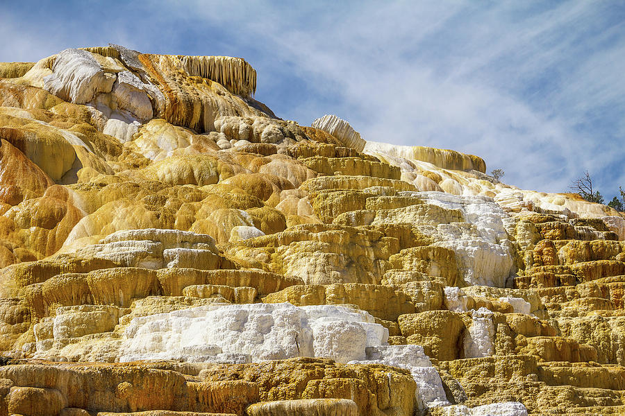 Mammoth Hot Springs Colors Photograph by Steven Bateson