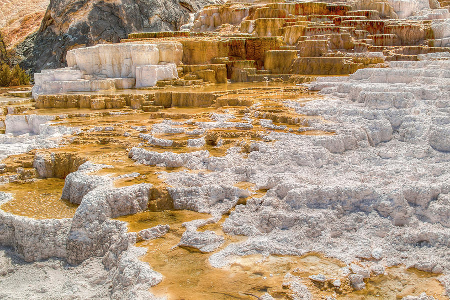 Mammoth Hot Springs III Photograph by Kristina Rinell
