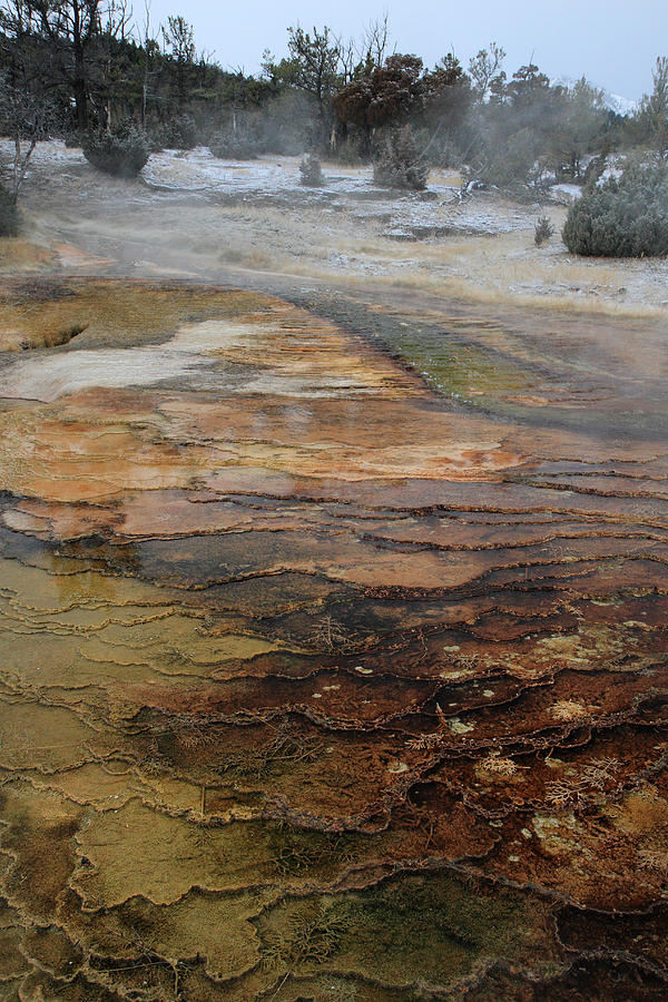 Mammoth Hot Springs In Yellowstone National Park Photograph
