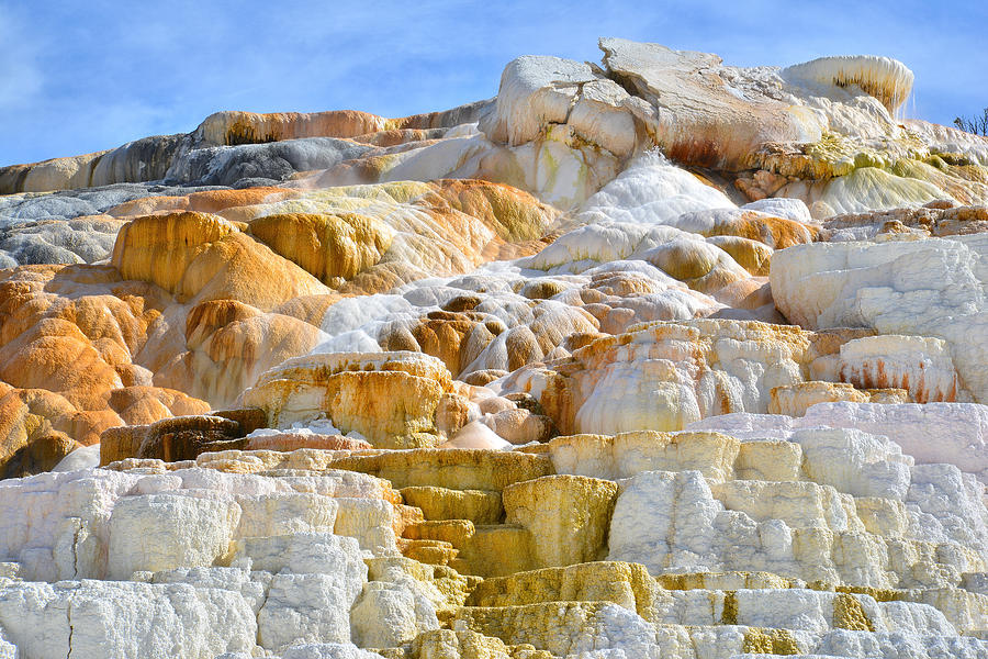 Mammoth Hot Springs Photograph by Ray Mathis