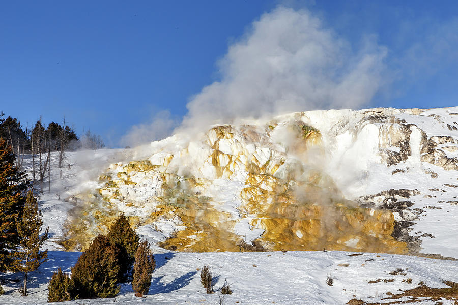 Mammoth Hot Springs Photograph by Robert Caddy