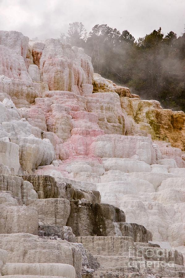 Mammoth Hot Springs Photograph by Sean Griffin