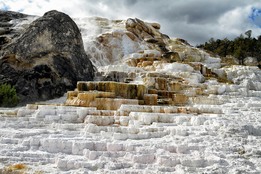 Mammoth Hot Springs  Photograph by Shirley Mitchell