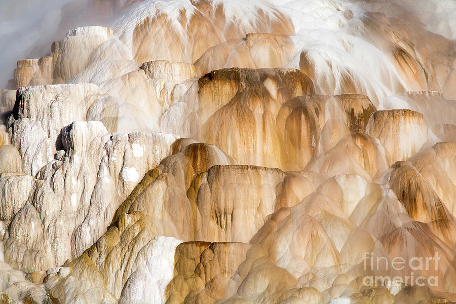 Mammoth Hot Springs Photograph by Sonya Lang