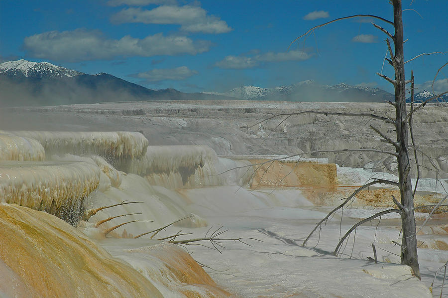 Mammoth Hot Springs Terrace in Yellowstone National Park Photograph by Bruce Gourley