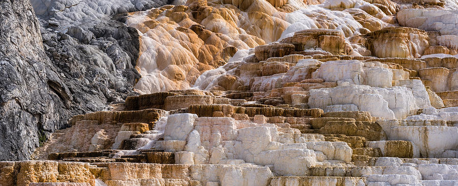 Mammoth Hot Springs Terraces Yellowstone Photograph by Steve Gadomski