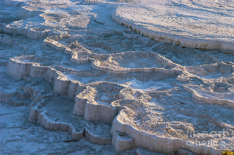 Mammoth Hot Springs Travertine Terraces  Three Photograph by Bob Phillips