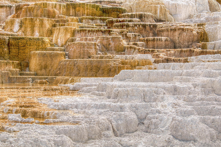 Mammoth Hot Springs V Photograph by Kristina Rinell