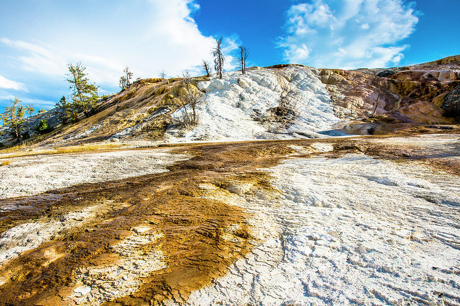 Mammoth Hot Springs Yellowstone Photograph by Ben Graham