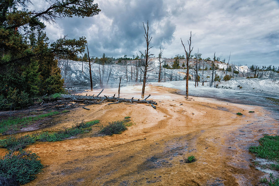 Mammoth Hot Springs Yellowstone NP_GRK7880_05282018-HDR Photograph by Greg Kluempers