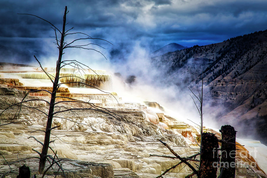 Mammoth Hot Springs in Yellowstone Photograph by Bruce Block