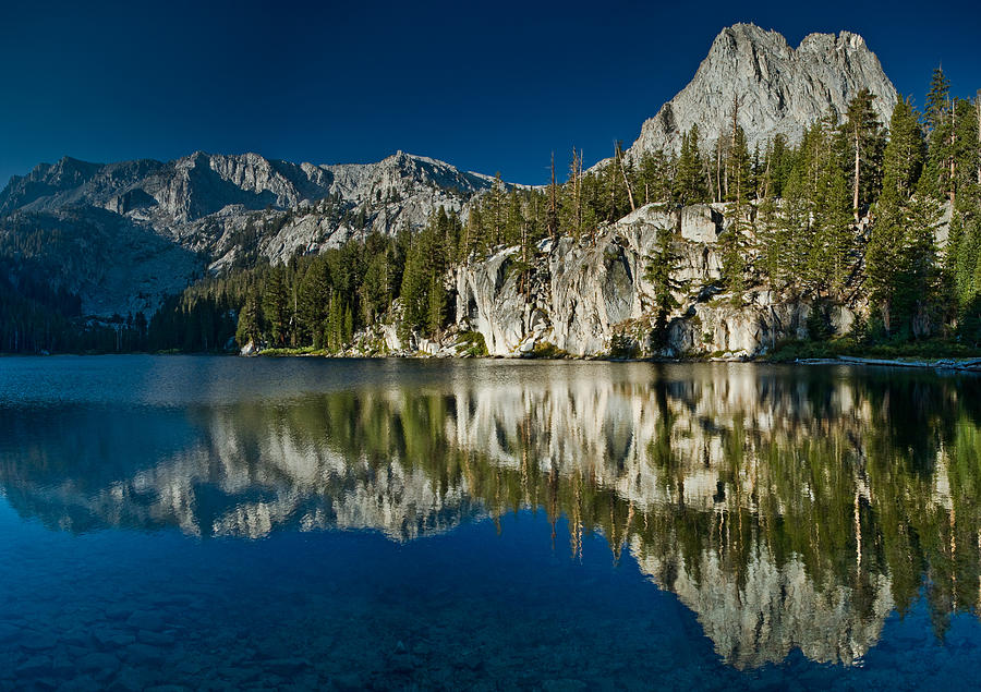 Tree Photograph - Mammoth Lakes Reflections by Greg Nyquist