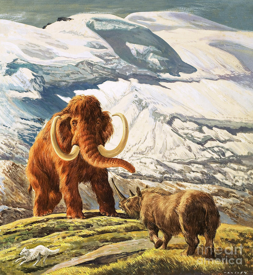 Prehistoric Painting - Mammoth meets Rhinoceros by Eric Tansley