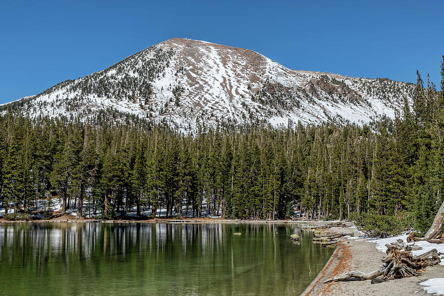 Mammoth Mountain and McLeod Lake Photograph by Kelley King