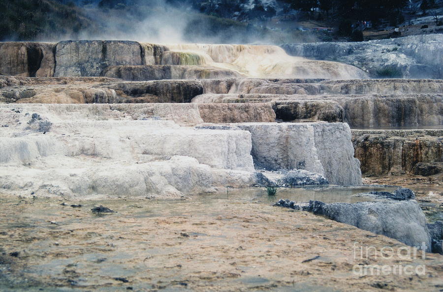 Mammoth Springs Photograph by Suzanne Krueger