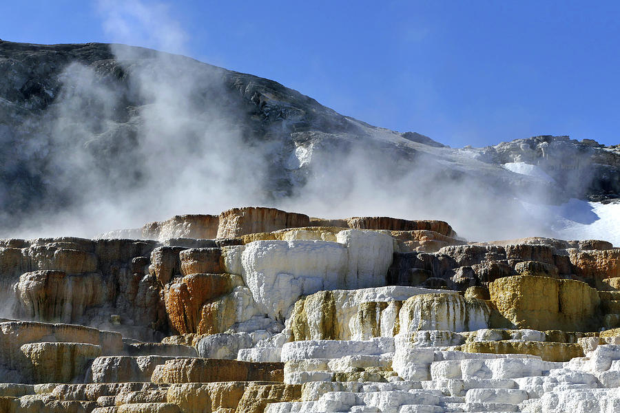 Mammoth Springs, Upper Terrace 28 Photograph by JustJeffAz Photography