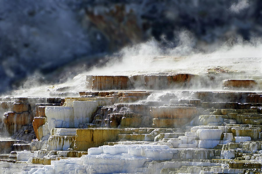 Mammoth Springs, Upper Terrace 41 Photograph by JustJeffAz Photography