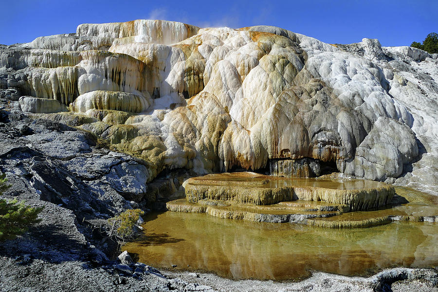 Mammoth Springs, Upper Terrace 48 Photograph by JustJeffAz Photography