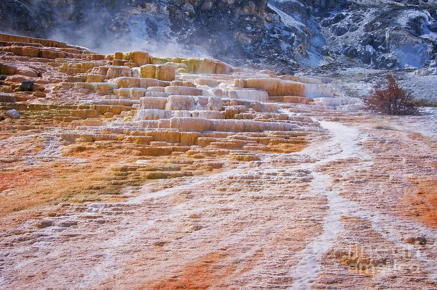 Yellowstone National Park Photograph - Mammoth terraces of Yellowstone by Delphimages Photo Creations