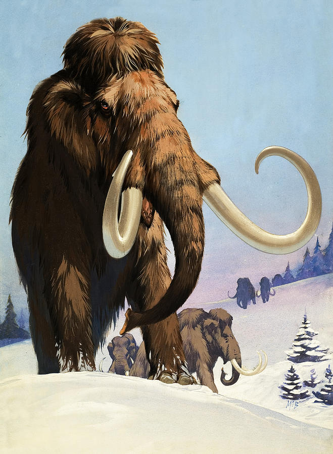 Mammoths from the Ice Age Painting by Angus McBride