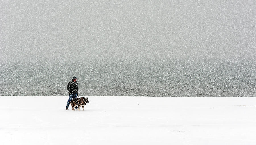 Winter Photograph - Man and his dog by Alina Stoenescu