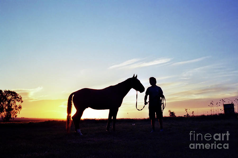 Man And Horse At Sunset Photograph by Tal Bedrack
