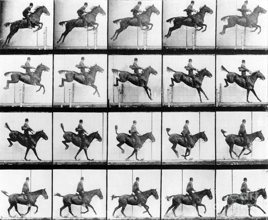 Black And White Photograph - Man and Horse jumping by Eadweard Muybridge