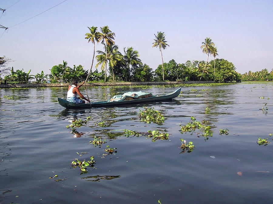 Fish Photograph - Man boating on the salt water lagoon in Alleppey in Kerala by Ashish Agarwal
