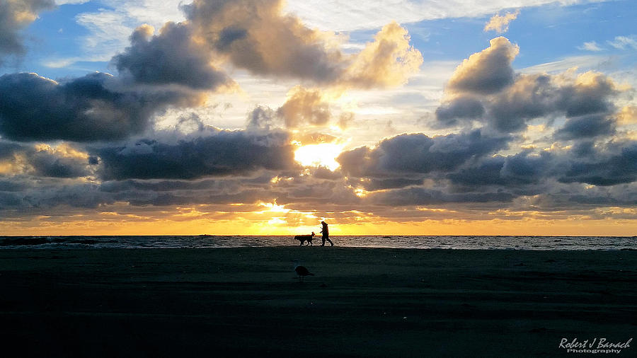 Man Dog and Sunrise Photograph by Robert Banach