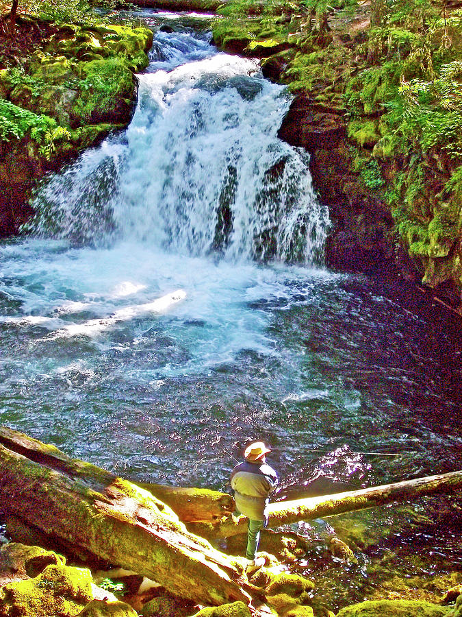 Man Fishing by Whitehorse Falls in Umpqua National Forest, Oregon Photograph by Ruth Hager