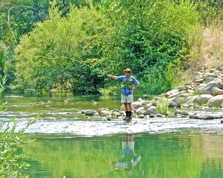 Man Fly Fishing in Canyon Creek near Winters-California Photograph by Ruth Hager