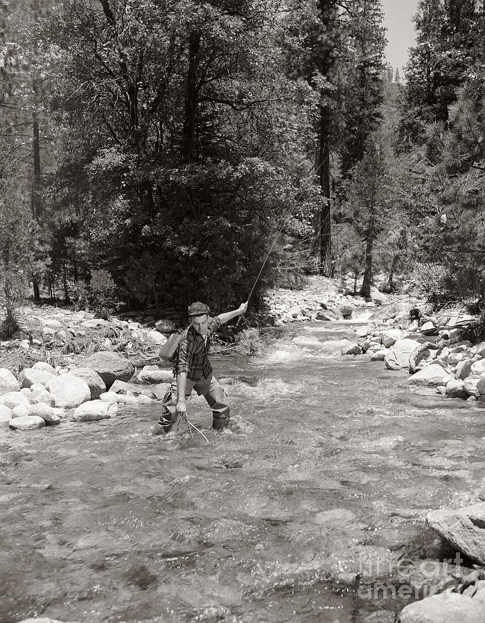 Man Fly Fishing Photograph by Pound and ClassicStock