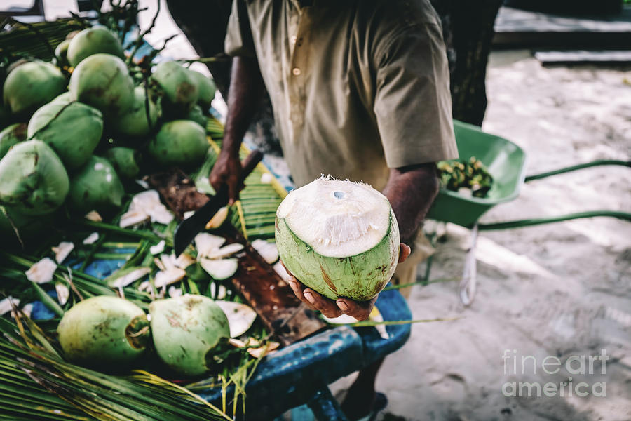 Man handing in a green coconut. Traditional local agriculture. Photograph by Michal Bednarek