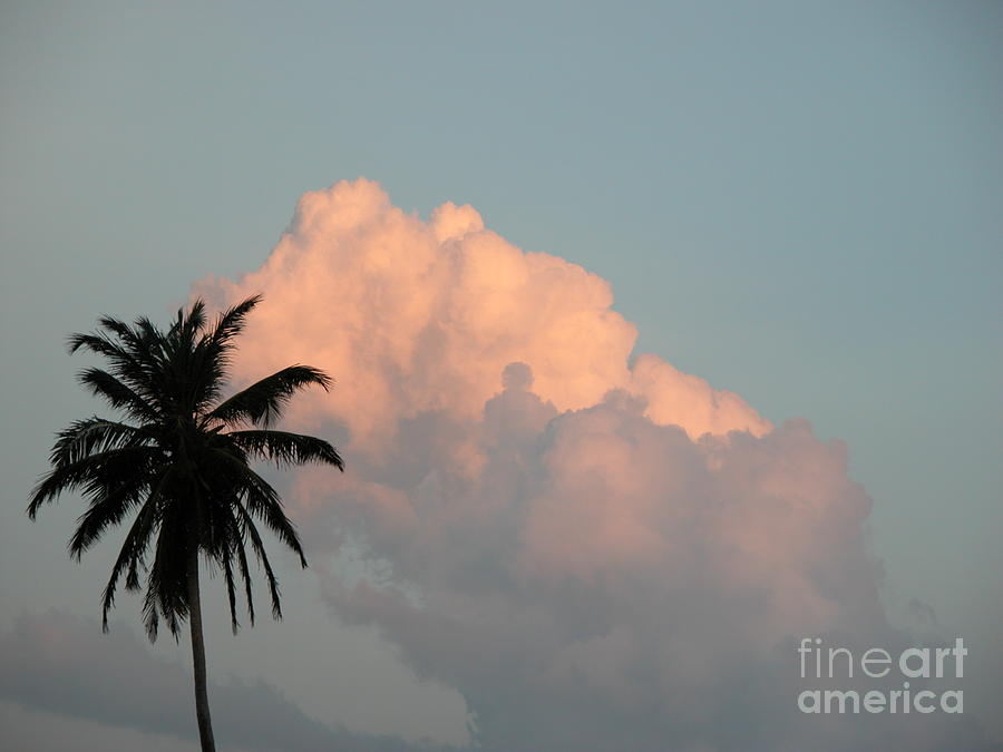 Man in Cloud Photograph by Jim Goodman