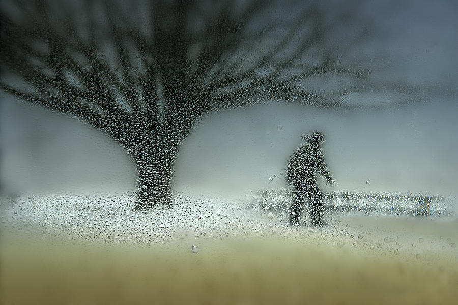 Man In Nature - Winter Photograph by Shenshen Dou