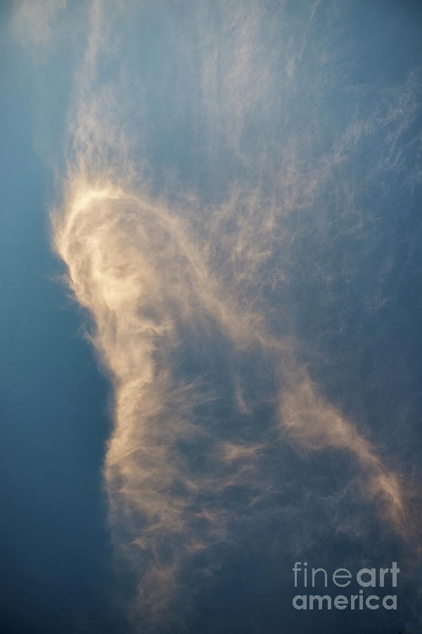Man in the Clouds Photograph by David Arment