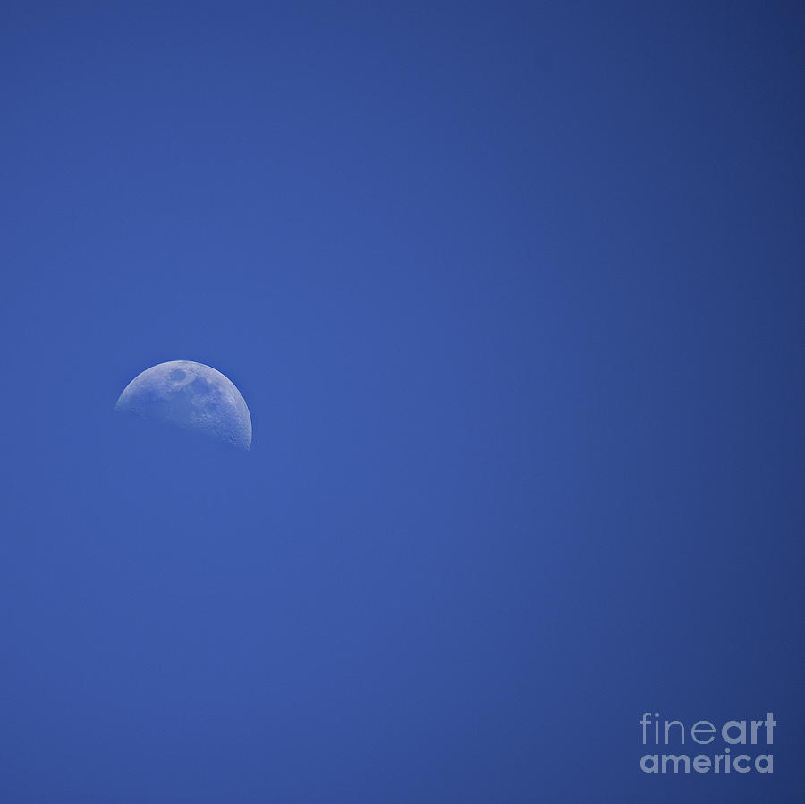 Man In The Moon Photograph by Skip Willits