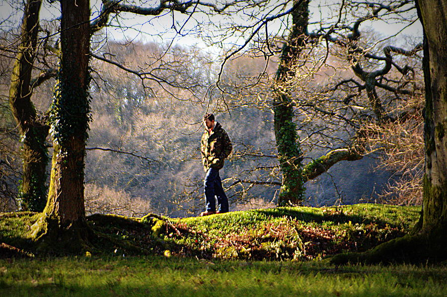 Man in trees Photograph by Andy Thompson